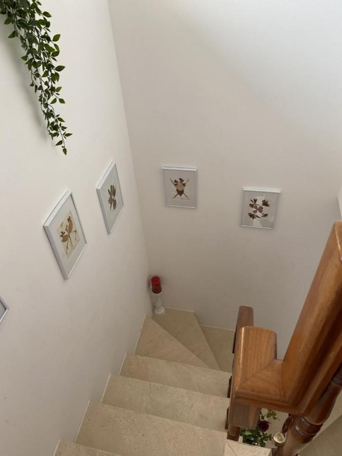 Casa Da Avo Fatima Leilighet Góis Eksteriør bilde